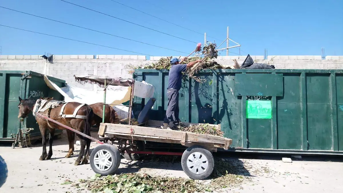 09 MIGUEL 2 Inicia en julio la colecta de escombro y basura vegetal